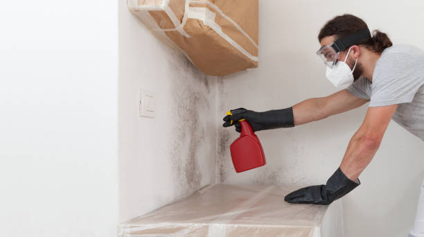 Professional Attic Mold Removal technician working in Conroe, TX