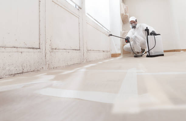 24/7 Emergency Attic Mold Removal experts in Conroe, TX