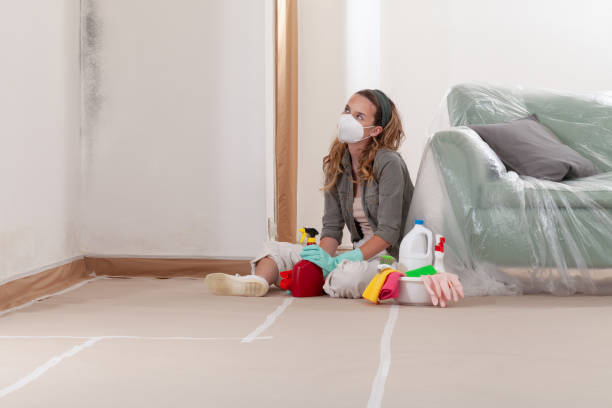 Reliable Attic Mold Removal contractor in Conroe, TX by WQB Mold Removal